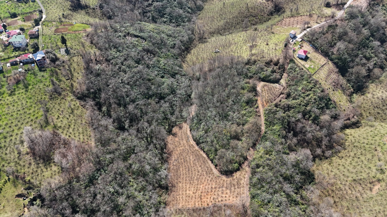 MABEL'DEN BEŞİKDÜZÜ AKSAKLI'DA 10.000 M2 SATILIK ARAZİ